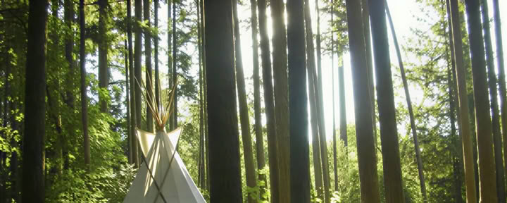Rinselvatichire il Sacro: Ritiro di Erboristeria e Yoga per Donne in Oregon