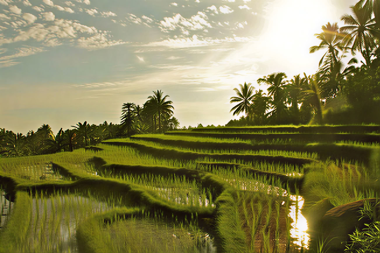 Ritiro di Yoga a Bali