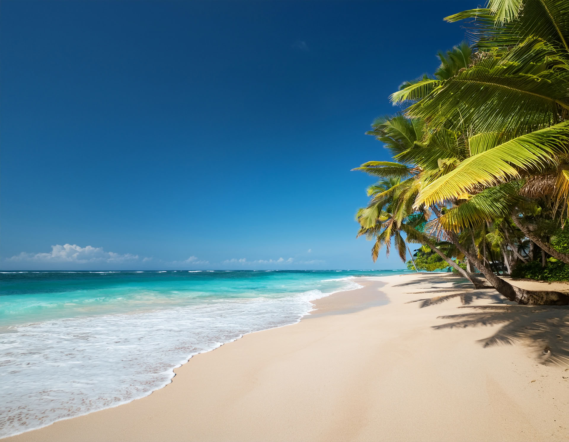Ritiro a Diani Beach, Kenya