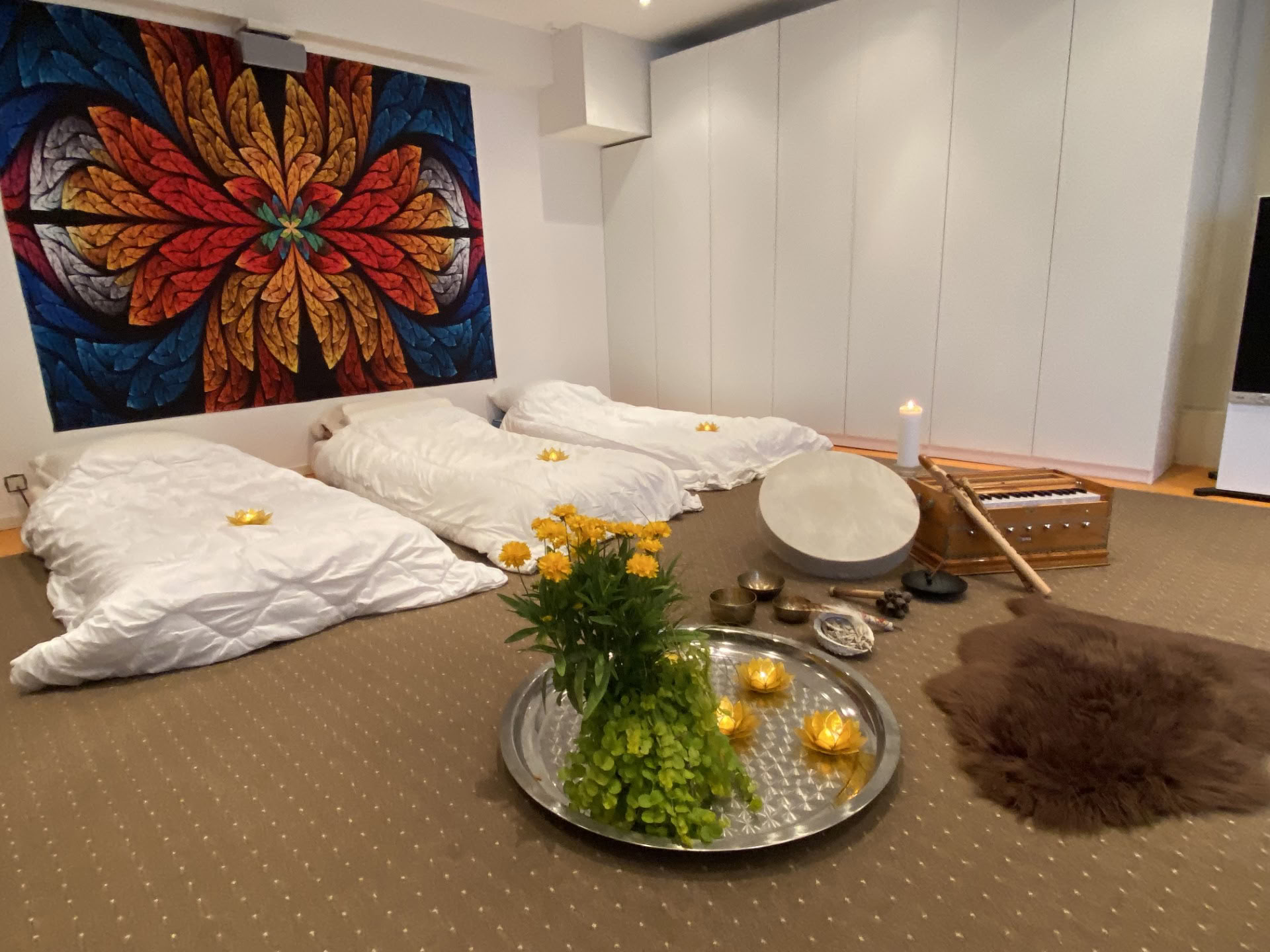 Sessione privata di ayahuasca