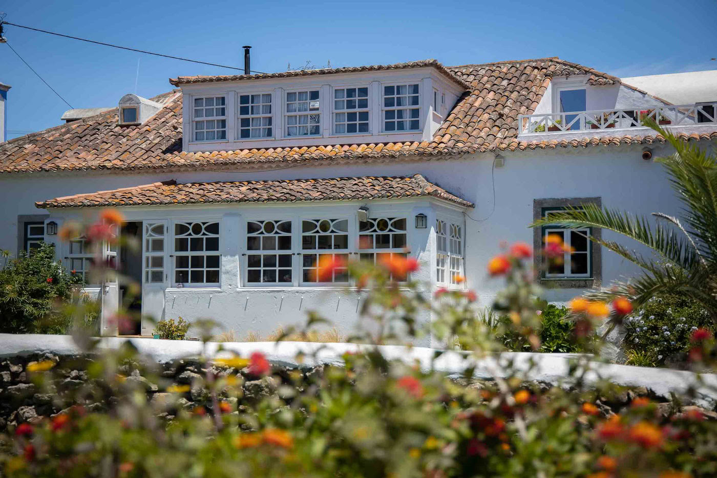 Figlio dell’Oceano – Ritiro di Yoga e Surf settembre 2026