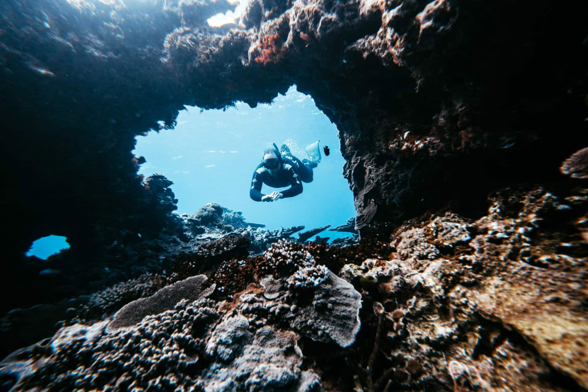 Istruttori di apnea e breathless solo a Lady Elliot Island