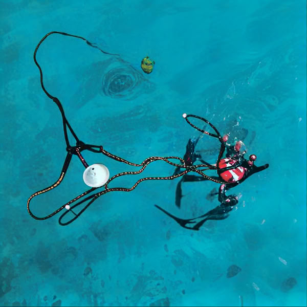 Istruttori di apnea e breathless solo a Lady Elliot Island