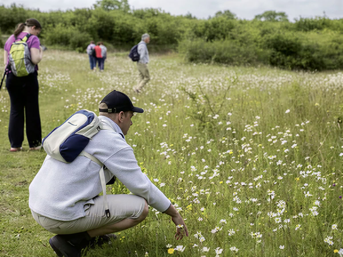 Yoga e vitalità di mezza estate con Margarida Tree | Burren Yoga Retreat | Ritiri benessere in Irlanda