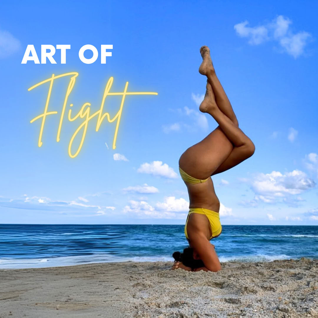 300 ore YTT | Chakra Flow University – Sequencing avanzato