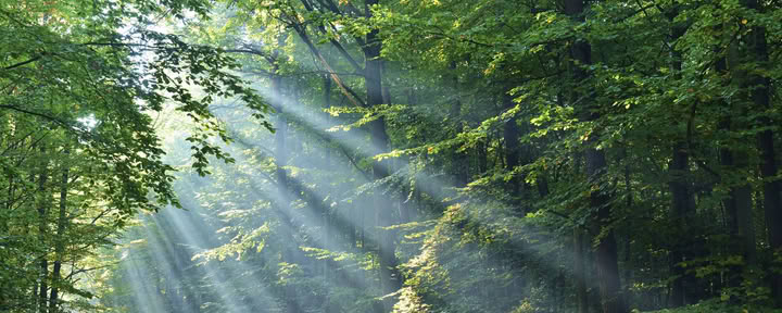 Sessione di Mentorship Spirituale
