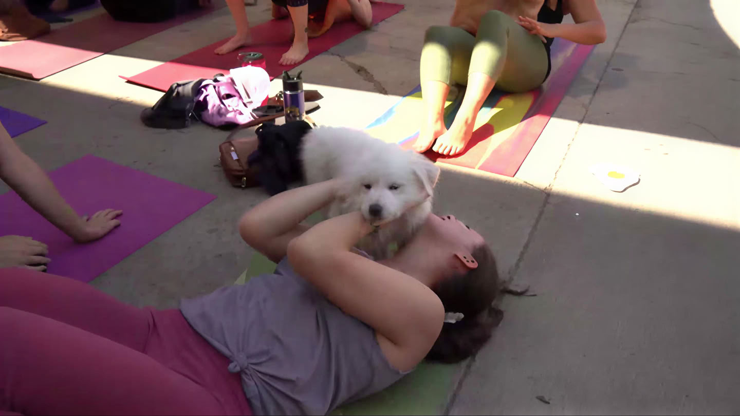 Yoga e Pilates al Bierstadt Lagerhaus | Denver