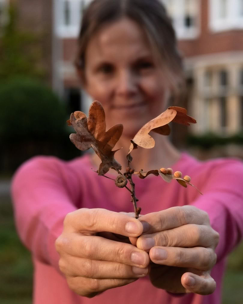 Ritiro di Yoga Autunnale