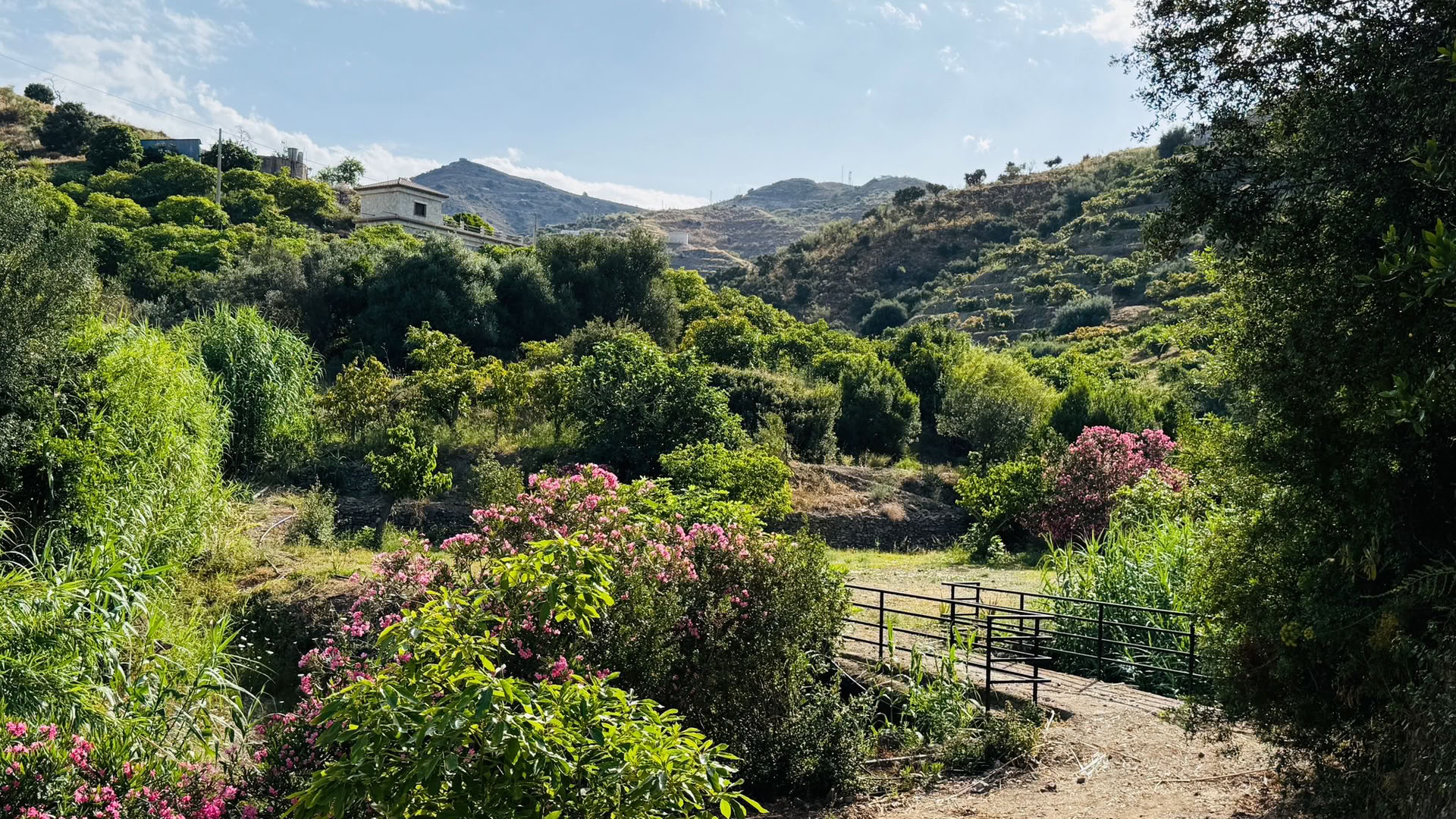 Andalusia dell’Anima - Yoga, Villaggi Bianchi e Serenità Costiera