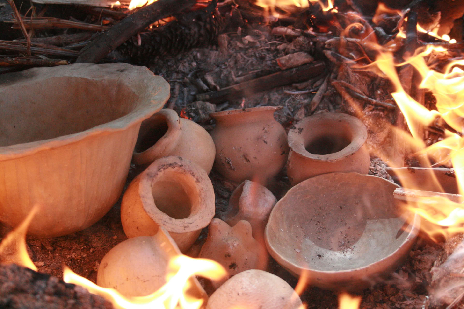 Boogbouw – Weekend di abilità ancestrali e druidiche – 6-9 agosto 2026 – ULTIMO POSTO