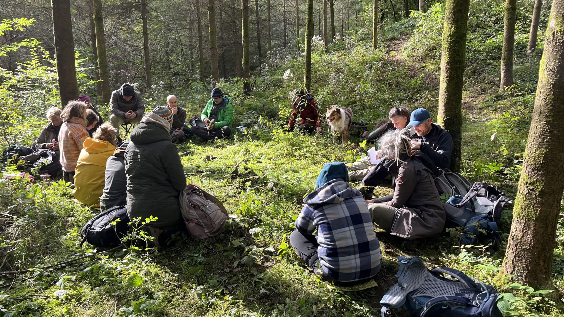 Boogbouw – Weekend di abilità ancestrali e druidiche – 6-9 agosto 2026 – ULTIMO POSTO