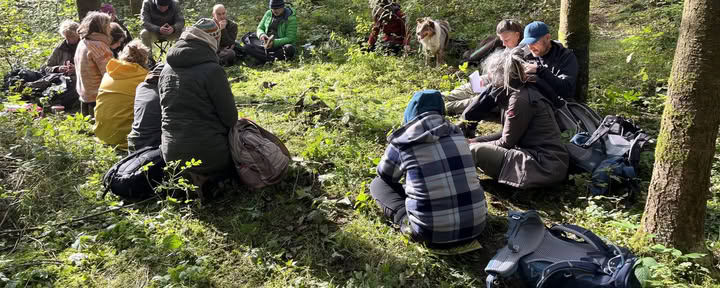 Training di mirroring per accompagnatori nella natura e coach – 22-25 ottobre 2026 – ULTIMI 2 POSTI