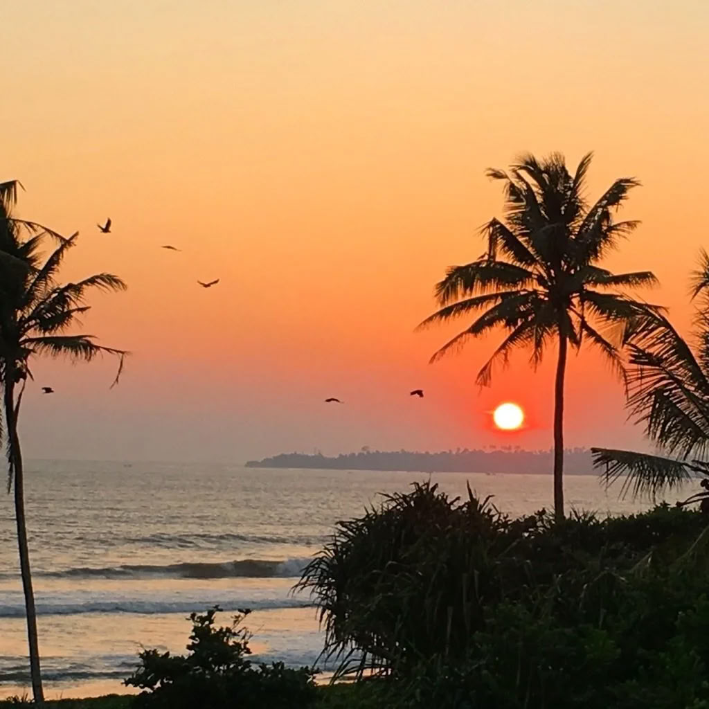 Ritiro di danza, surf e yoga in Sri Lanka