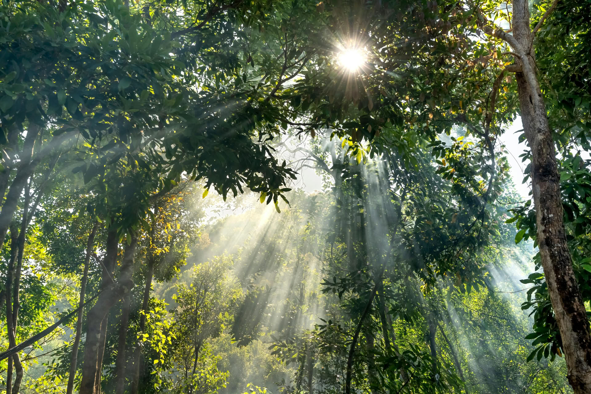 5 giorni e 4 notti di viaggio di mindfulness