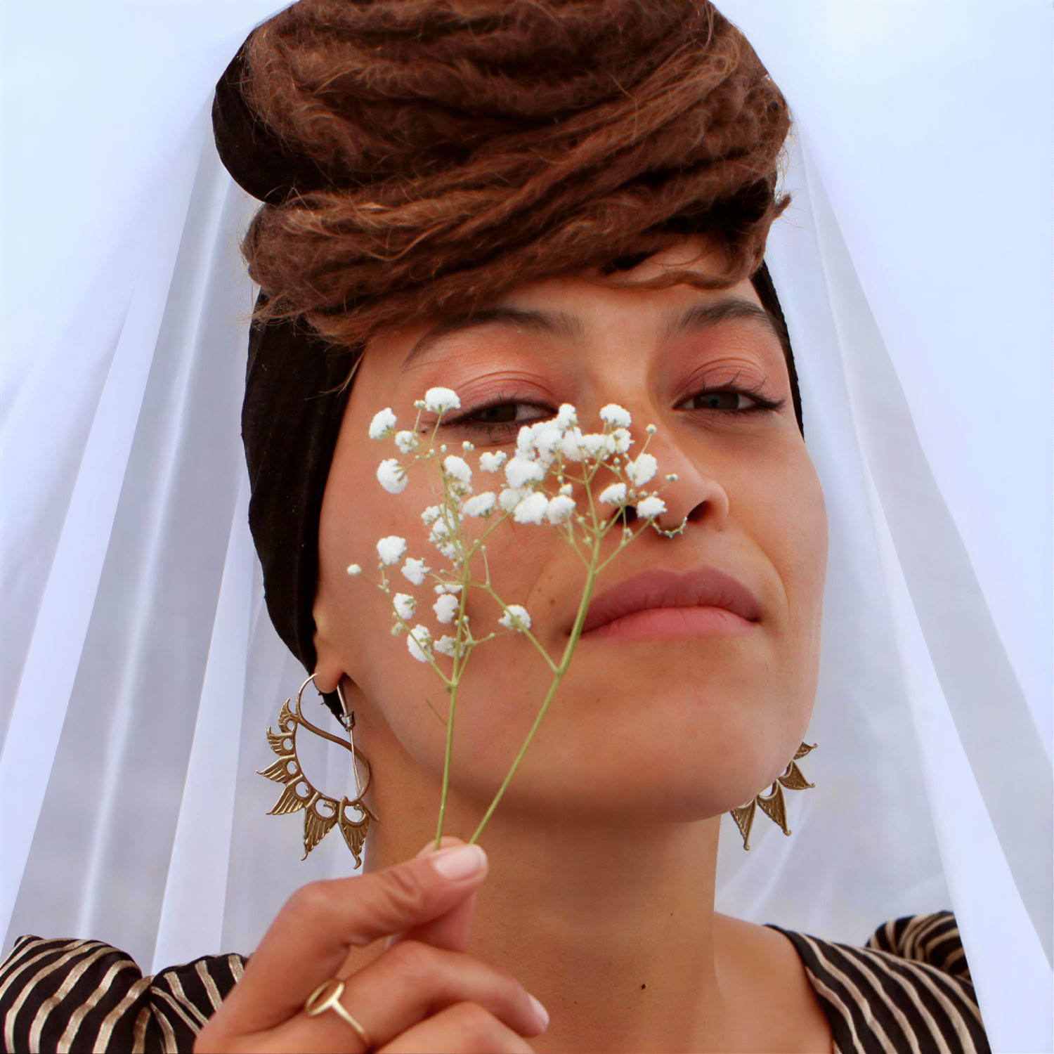 Musica Cover Crop