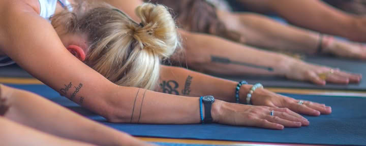 Dalla pratica alla libertà: lascia ruggire il tuo leone interiore