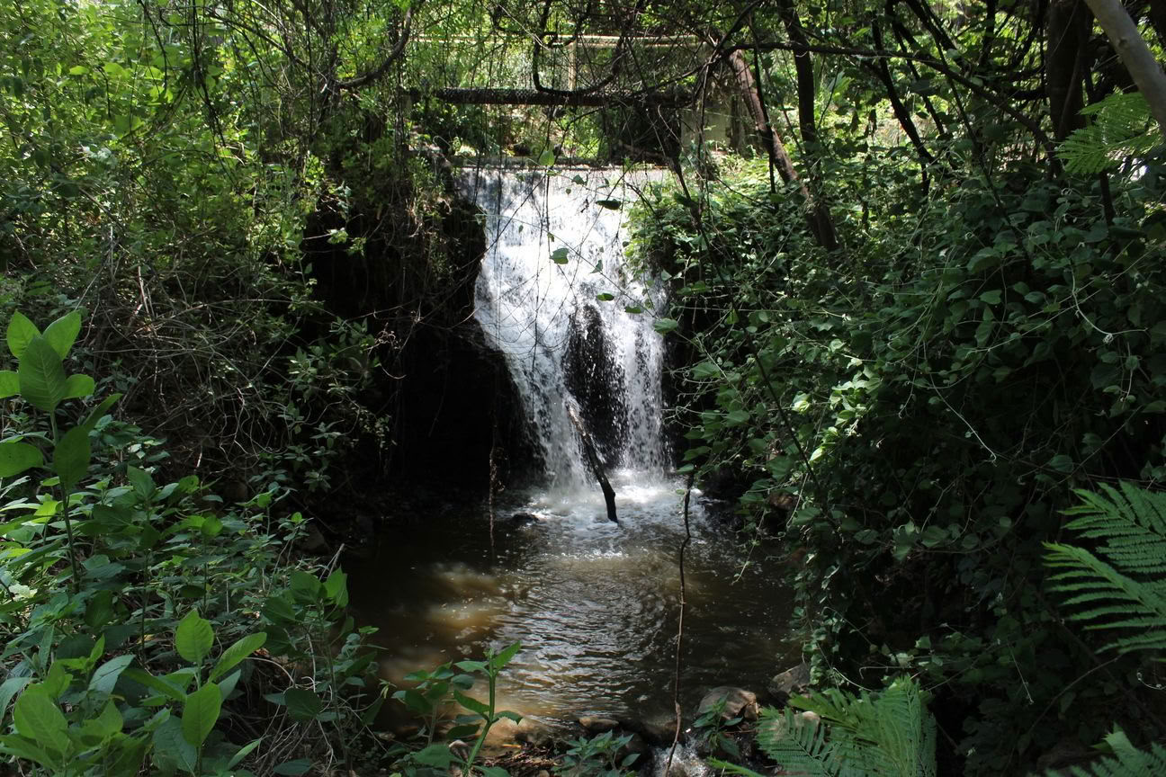 Danze Circolari