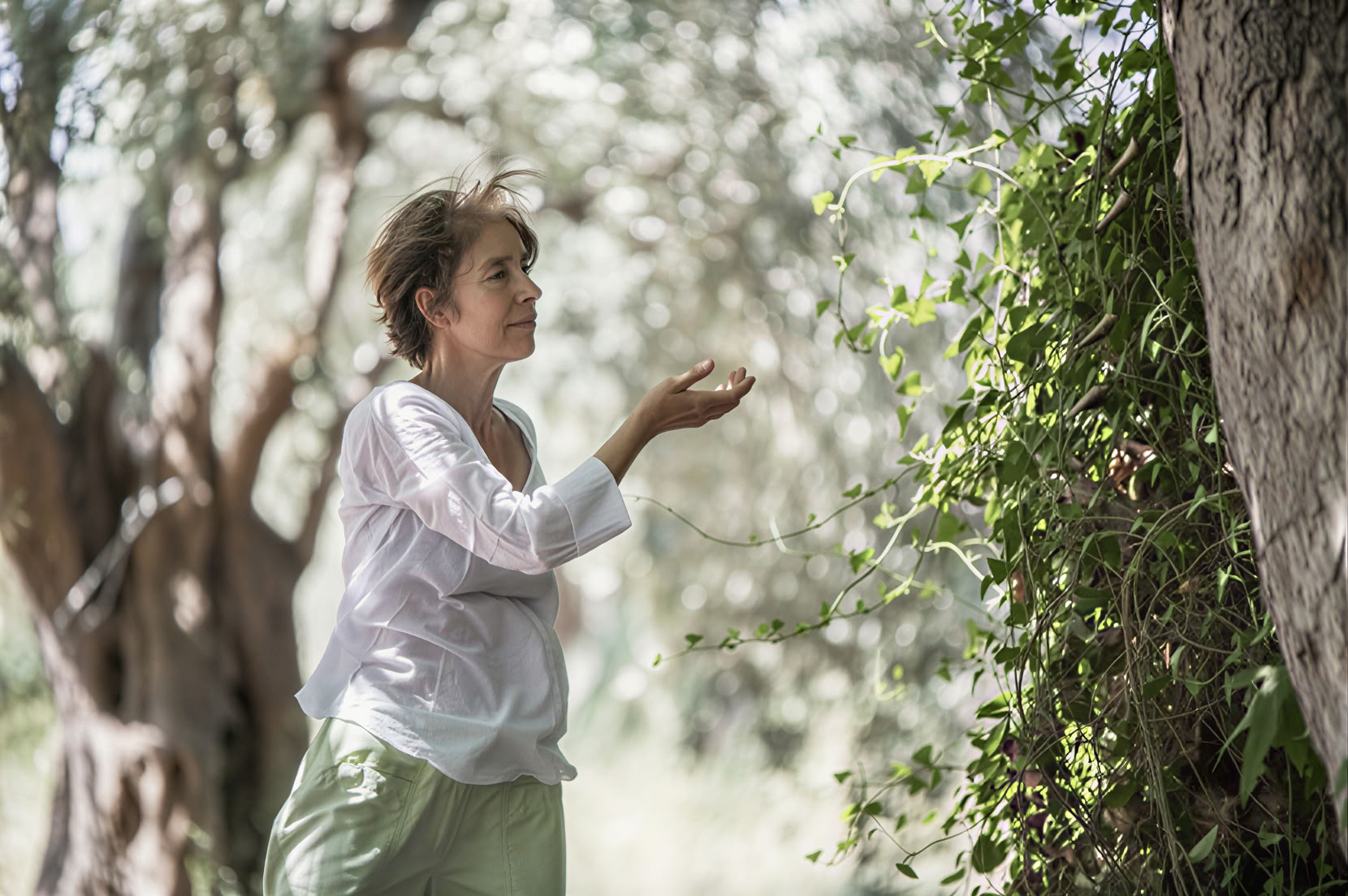 Ritiro di Tai Chi e Qigong