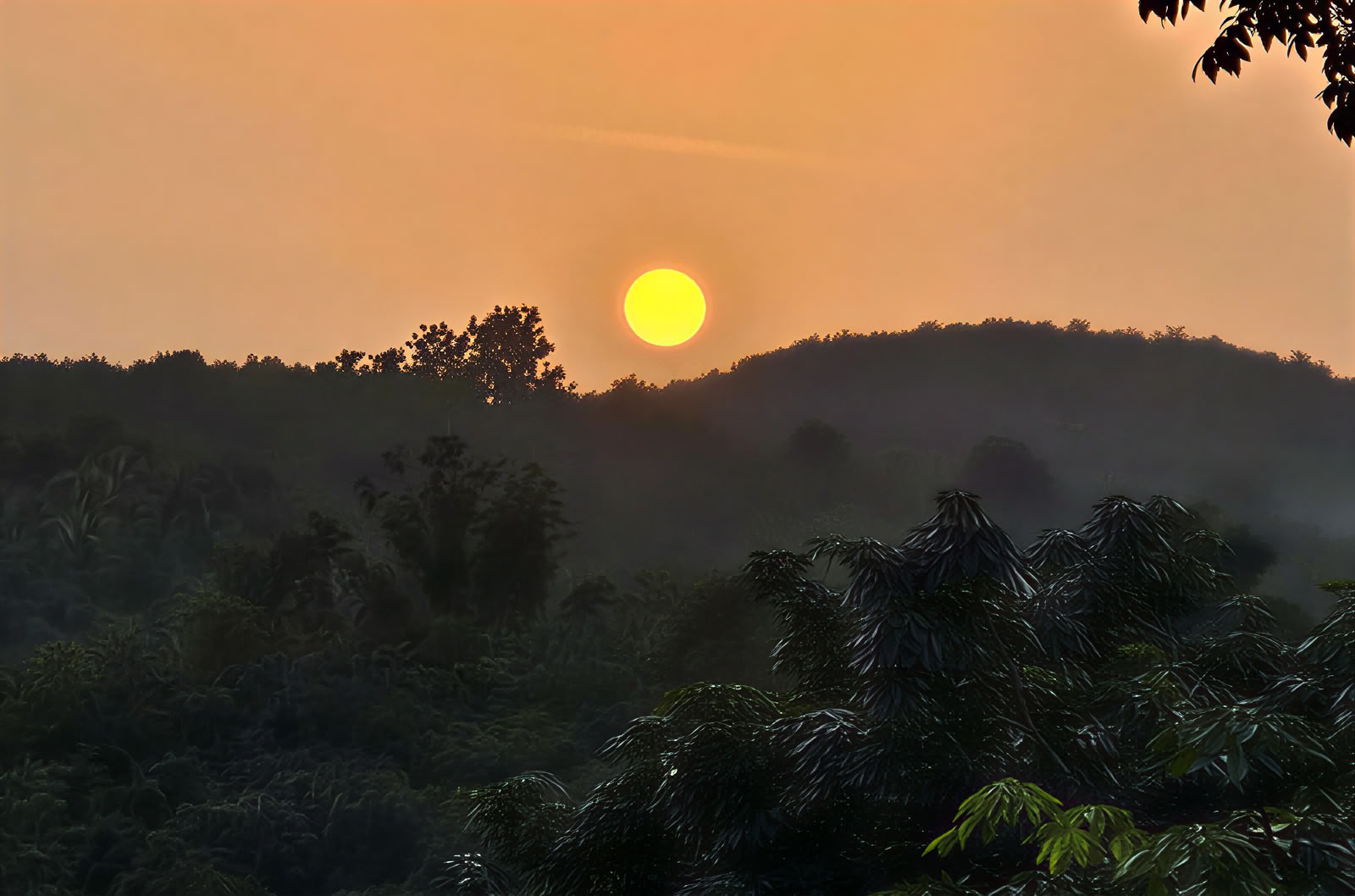 Ritiro benessere in Kerala
