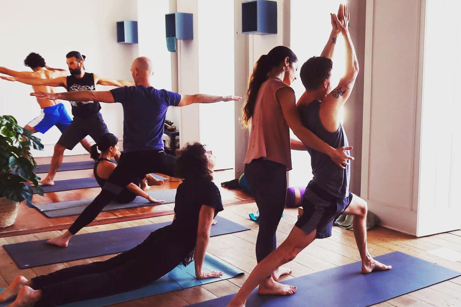 Formazione insegnanti di Ashtanga Vinyasa Yoga 2026