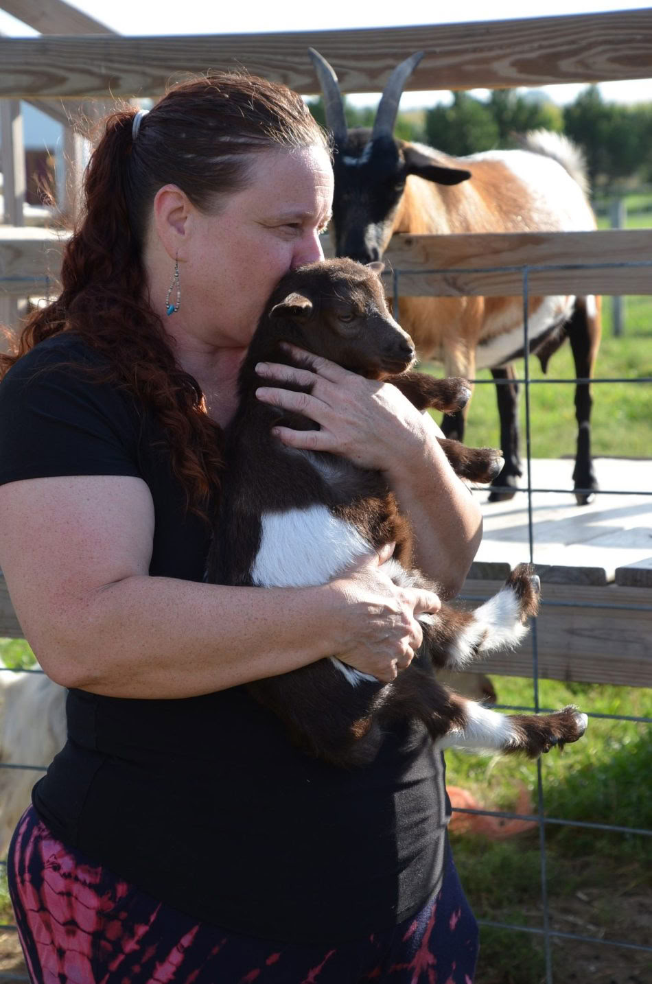 ICRT Reiki per Animali I e II