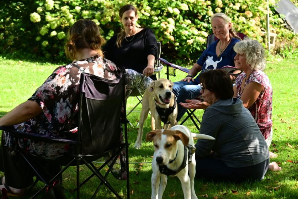 ICRT Reiki per Animali I e II