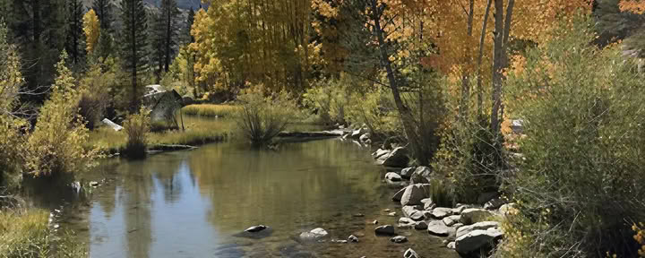 Ritiro di yoga a Bishop Creek