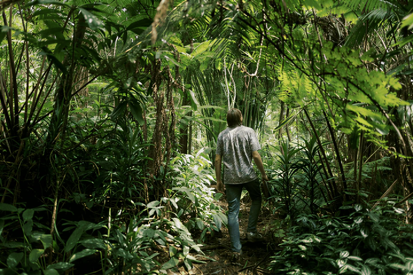 Esperienza di Bagno nella Foresta (Shinrin-Yoku): un viaggio guidato di pace e benessere