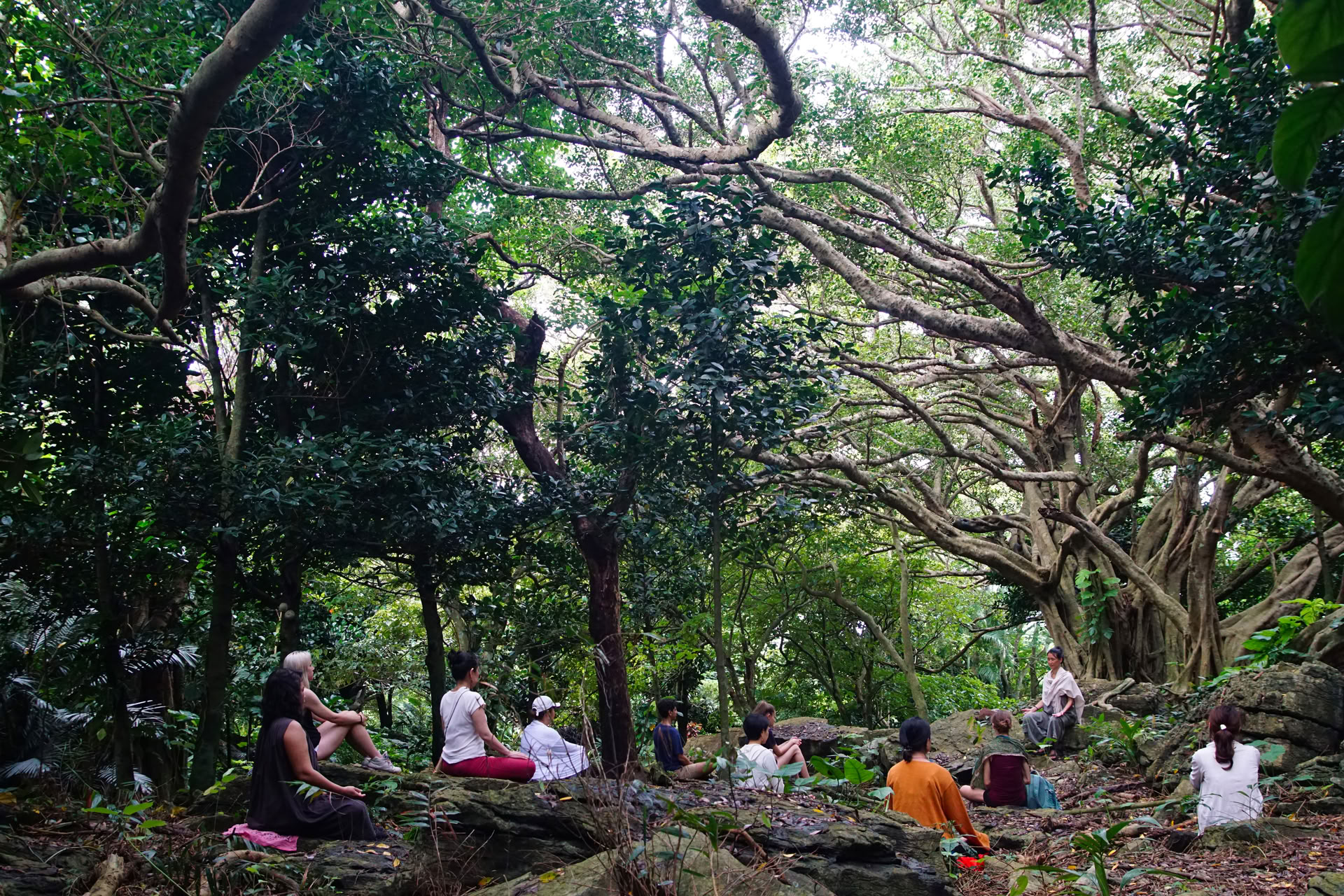 Ritiro di meditazione mindfulness silenziosa e yoga