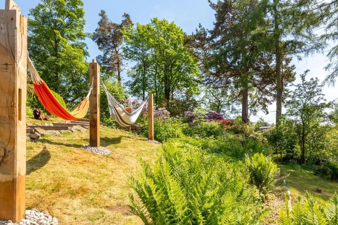 SUP per principianti, yoga, nuoto in acque libere e sauna