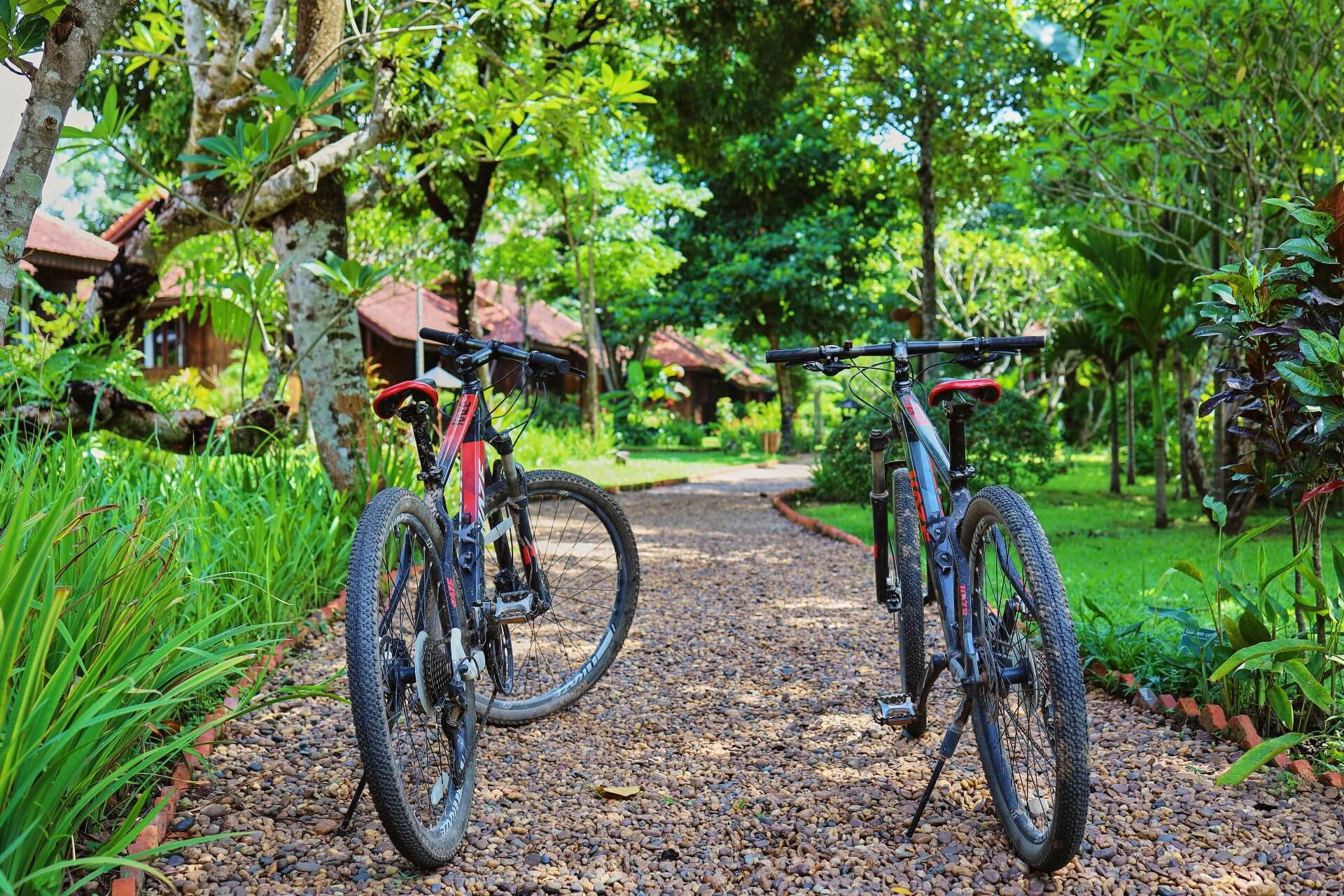 Tour in bicicletta