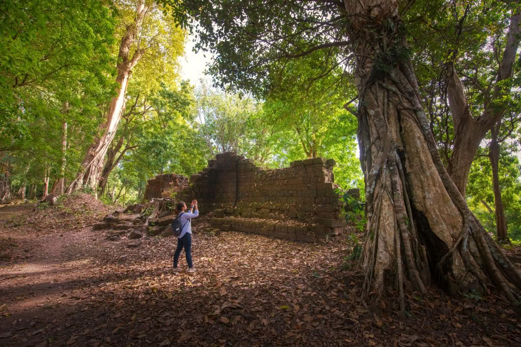 Esploratore tra le cime degli alberi