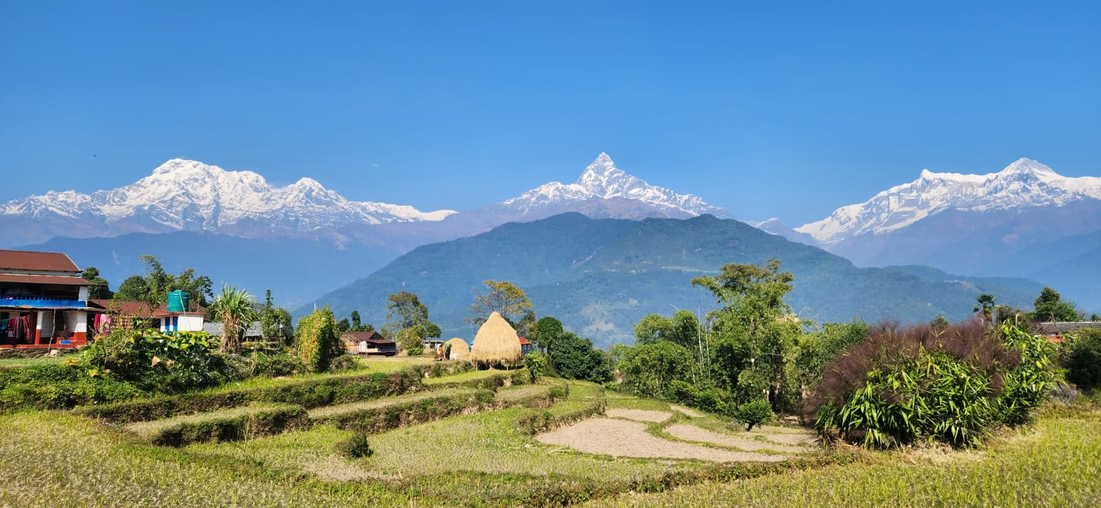 YTTC con vista sull’Himalaya (5 ottobre 2026)