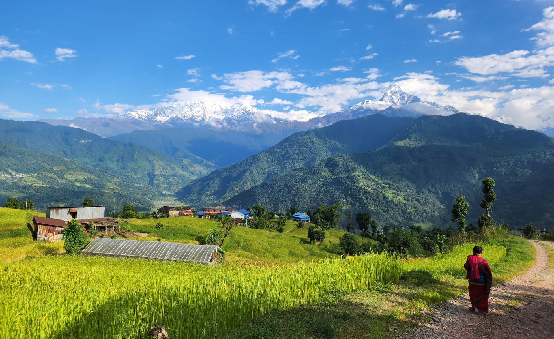 YTTC vista Himalayana
