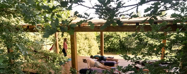 Ritiro di Movimento Consapevole in Toscana | Yoga e soggiorno in fattoria — Maraviglia Farm Stay in Tuscany