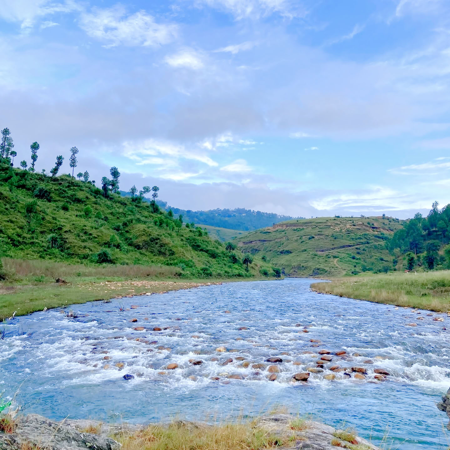 Ritiro di 4 giorni nella quiete sulle rive dell'Himalaya ad Almora