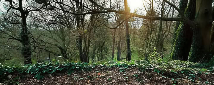 Vibrazione Consapevole — Mucklagh Lodge