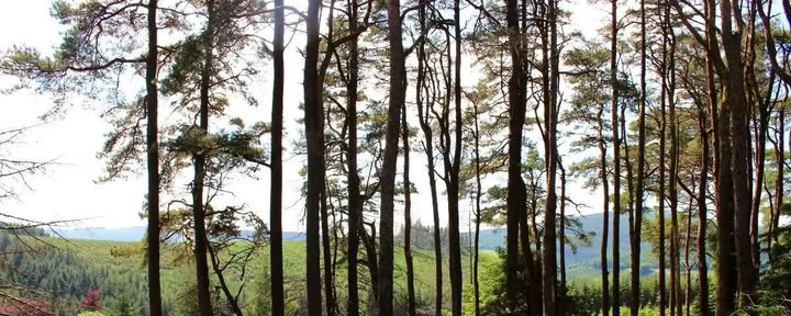 Ritorno a Mucklagh - Samhain — Mucklagh Lodge