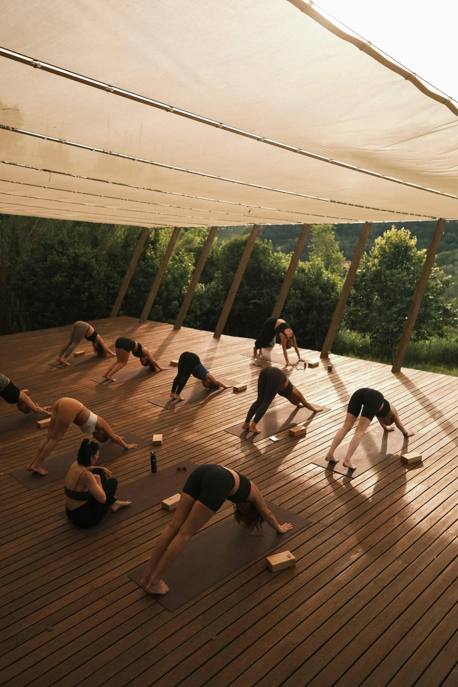 Ritiro di Yoga Vinyasa Inner Glow