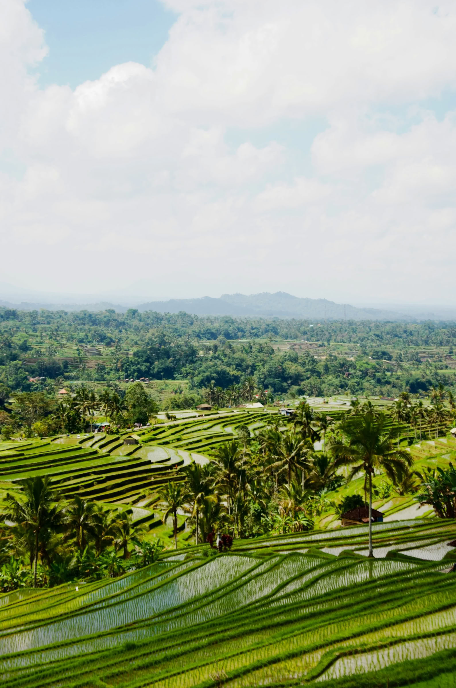 Bali fuori dai sentieri battuti: giornata tranquilla nell'Ovest