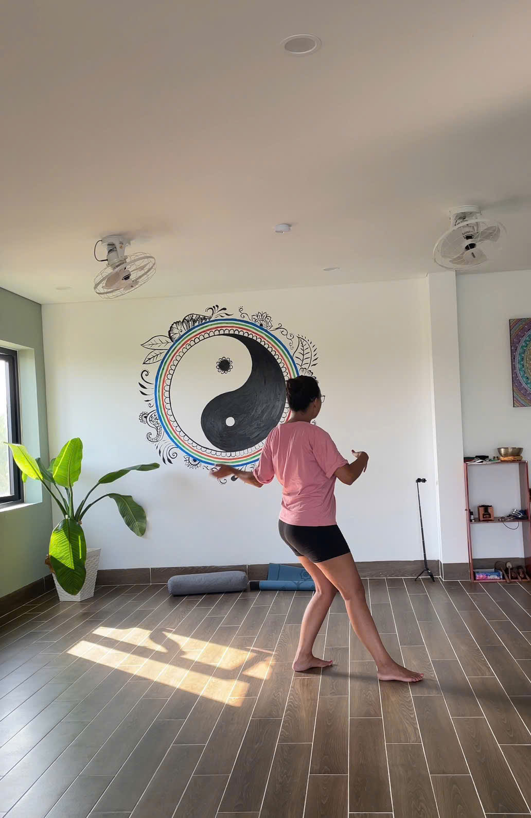 Lezione di Taichi