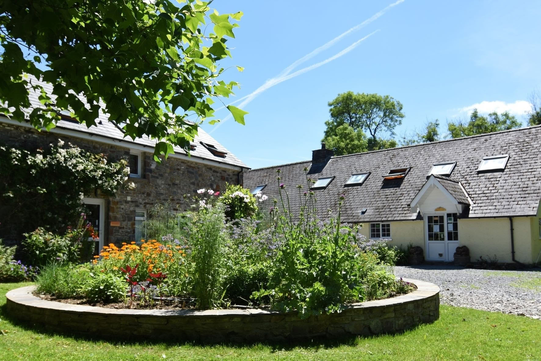 PranaVidya - Avanzato