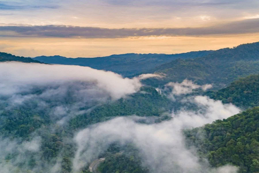 Il tuo vero ritiro della natura femminile