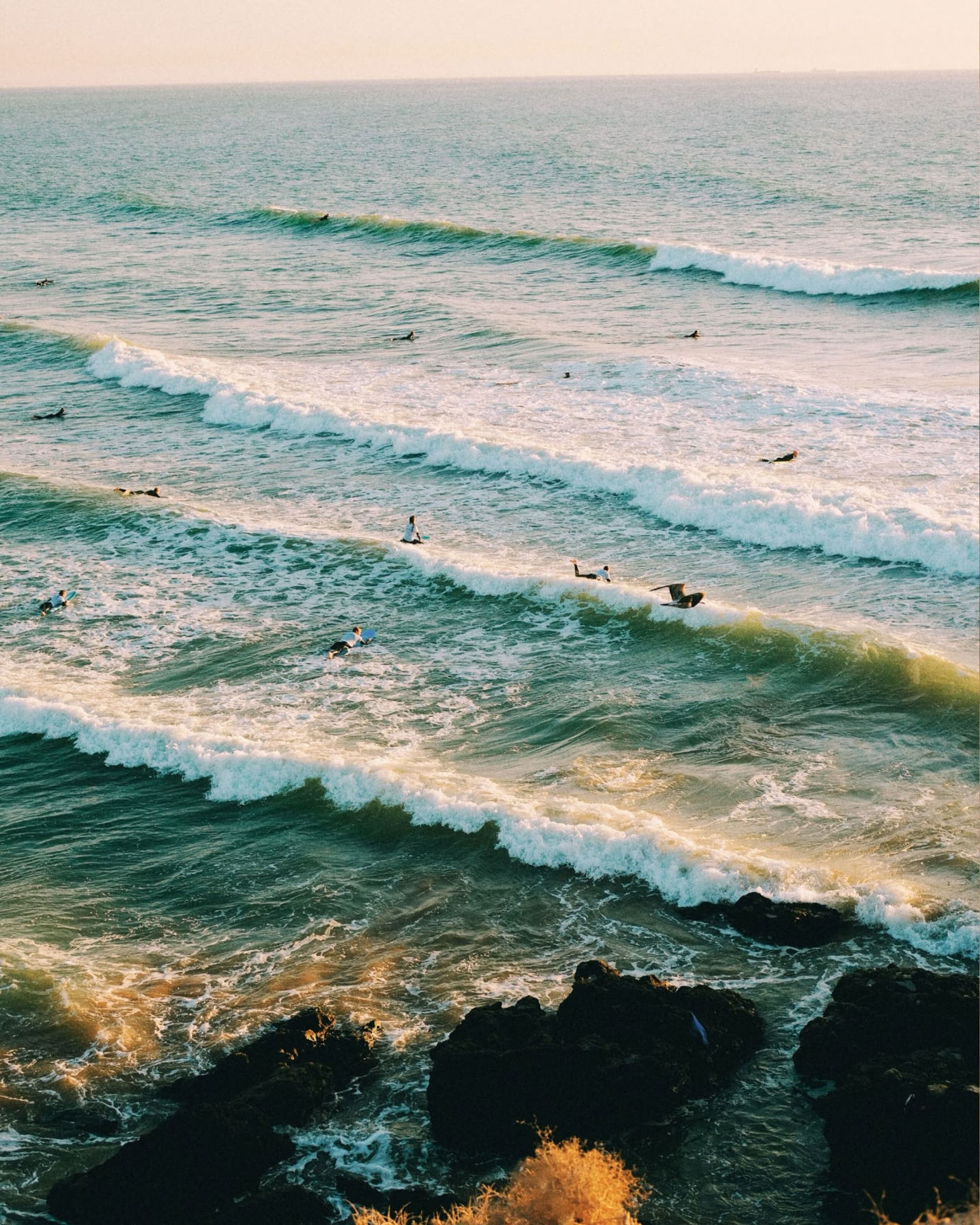 Lavoro, Surf e Soggiorno