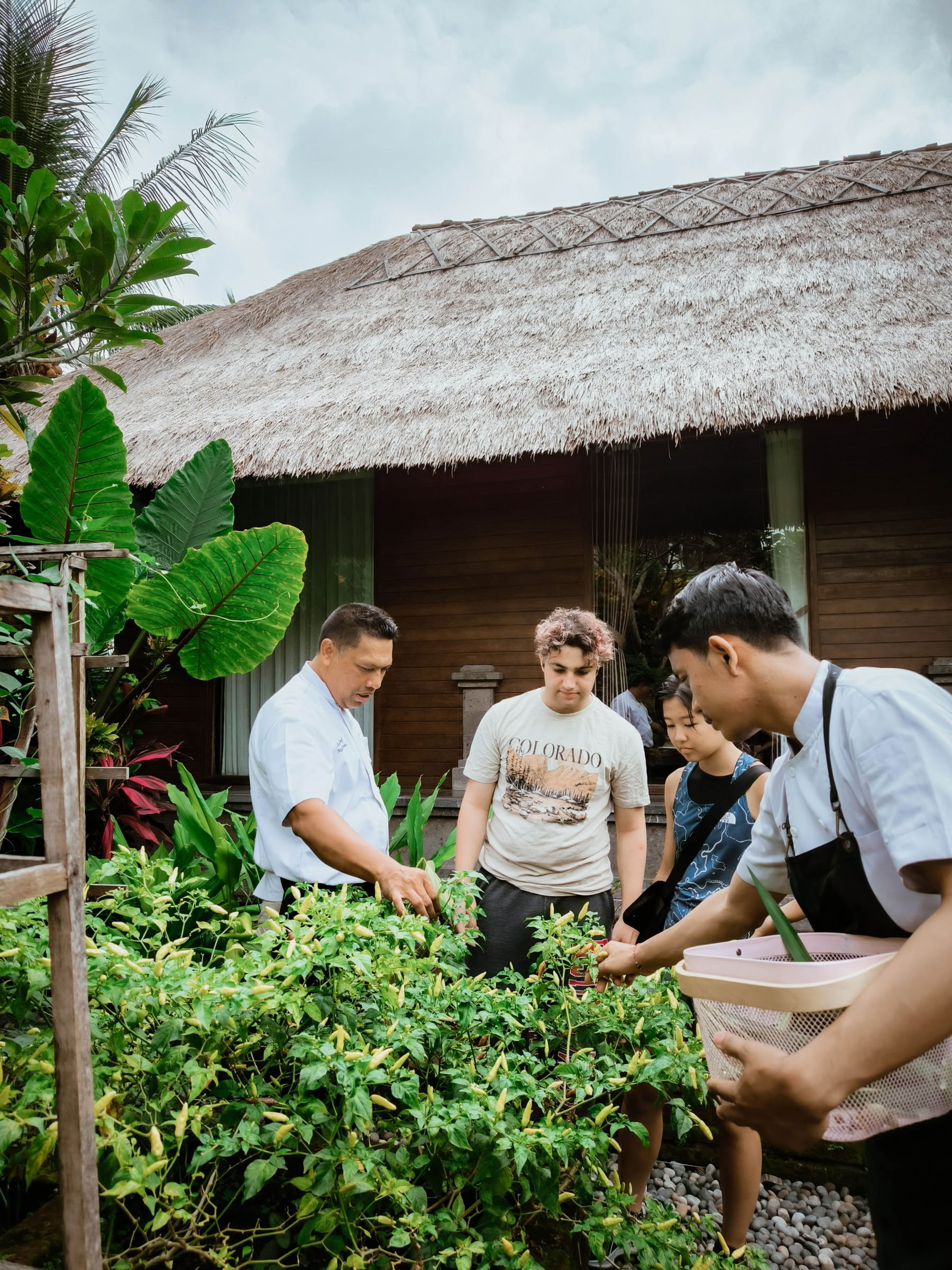 Un’avventura da leccarsi i baffi nella cucina balinese!