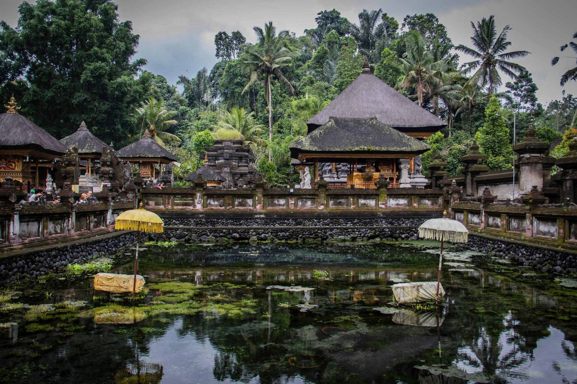 Scopri le meraviglie del Nord di Bali