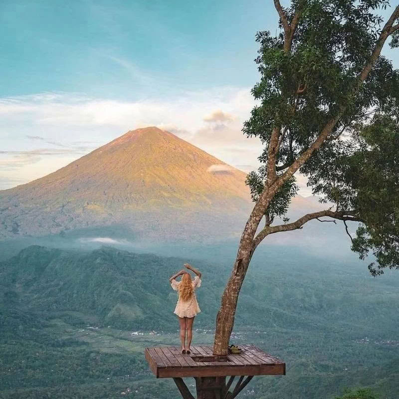 Scopri le meraviglie del Nord di Bali