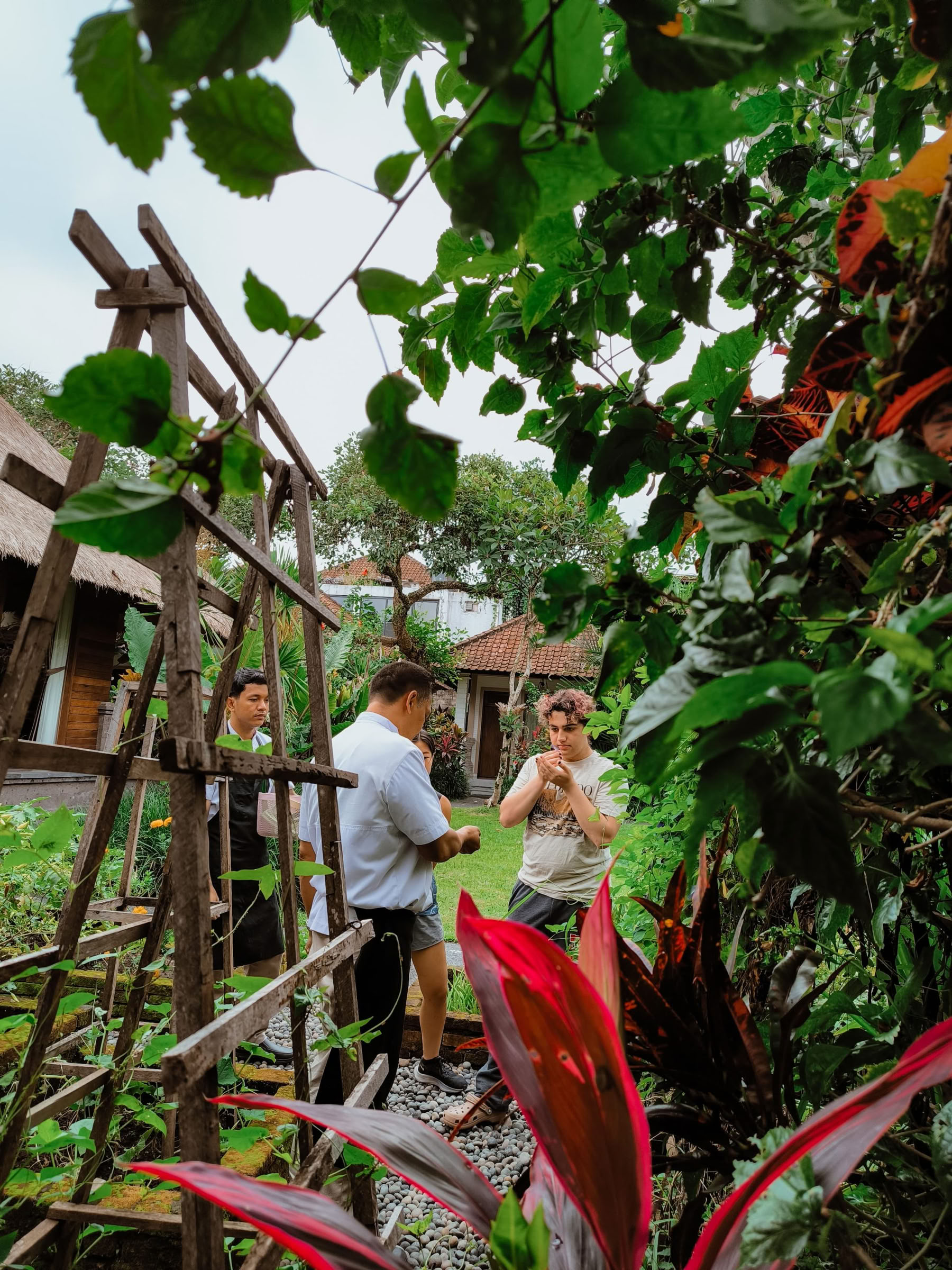 Scopri le meraviglie del Nord di Bali
