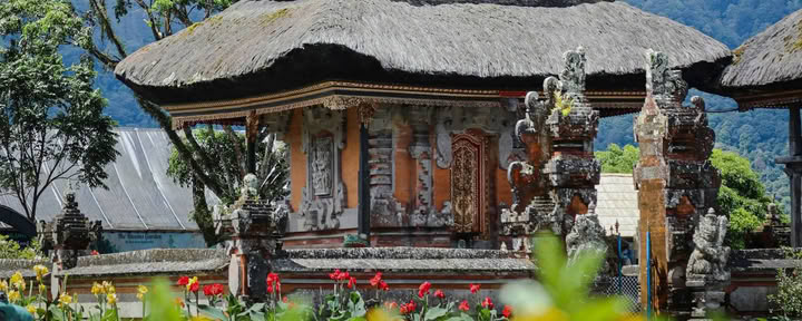 Scopri le meraviglie del Nord di Bali