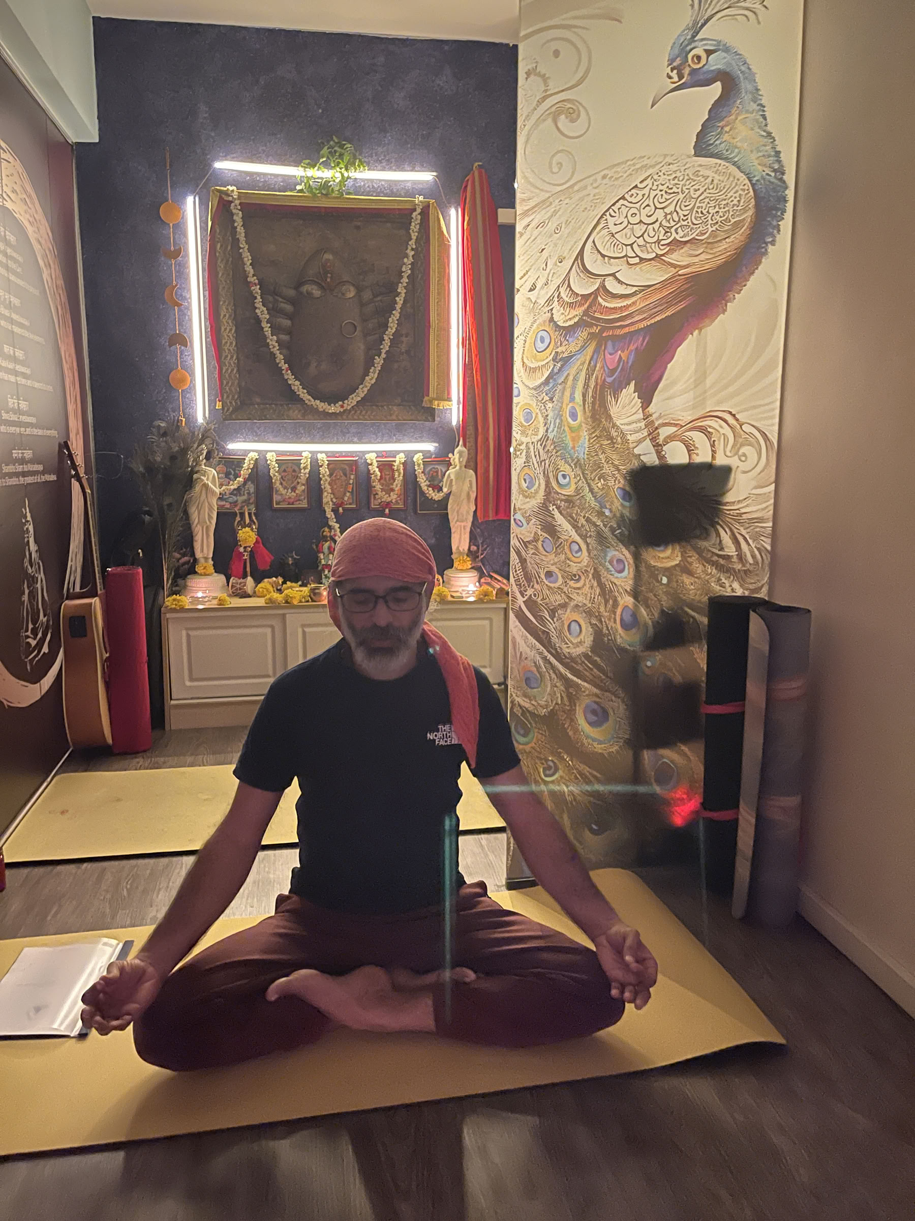 Workshop di yoga per la salute digestiva e il metabolismo a Singapore